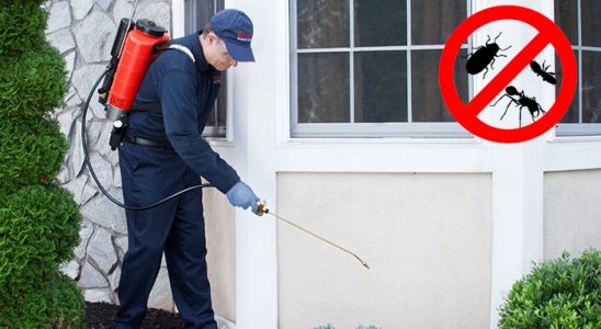 Sultandağı Fare İlaçlama böcek ilaçlama ve haşere kontrolü — ilaclama-tr.com